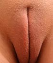 ISPYCAMELTOE BALD PUSSY