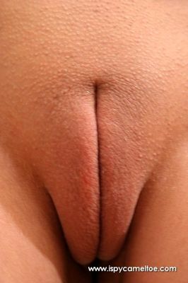 ISPYCAMELTOE UNBEARDED CLAM